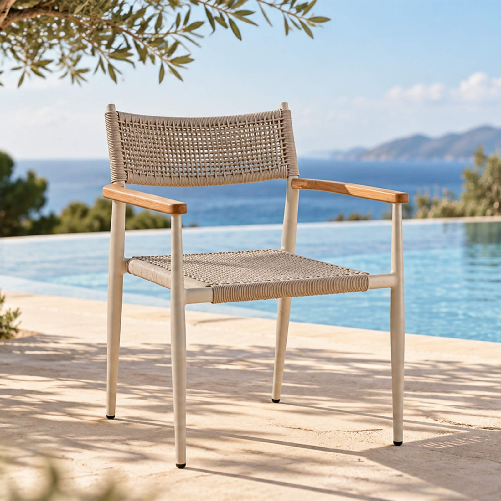 fauteuil-leo-ambiance fauteuil-leo-ambiance