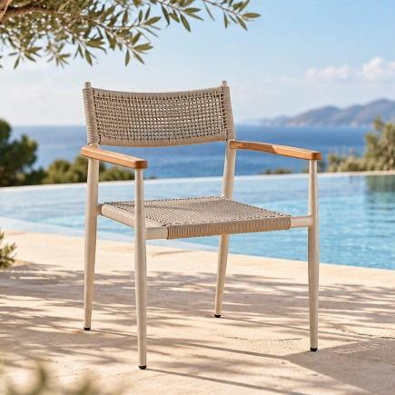 fauteuil-leo-ambiance
